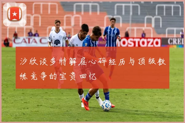 沙欣谈多特解雇心碎经历与顶级教练竞争的宝贵回忆