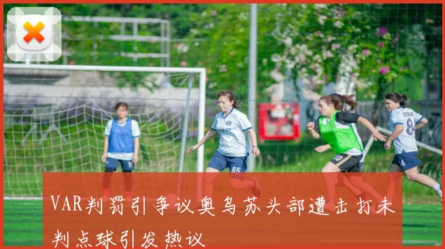 VAR判罚引争议奥乌苏头部遭击打未判点球引发热议